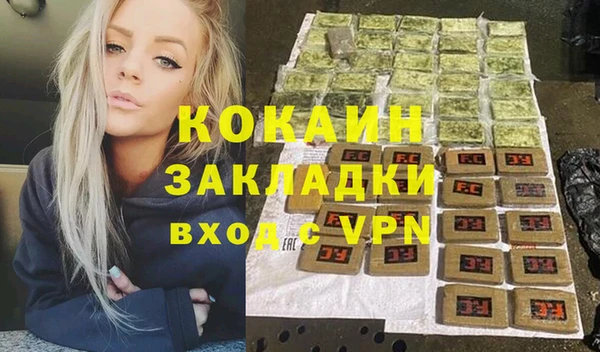 индика Гусев