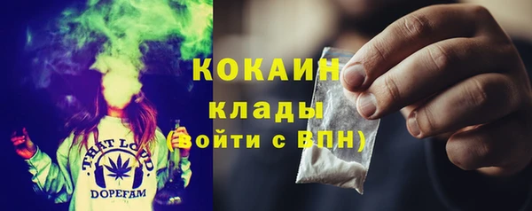 PSILOCYBIN Аркадак