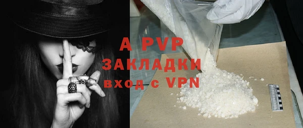PSILOCYBIN Аркадак