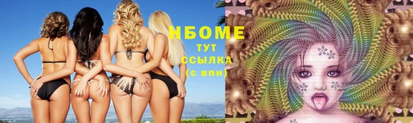 дживик Гусь-Хрустальный