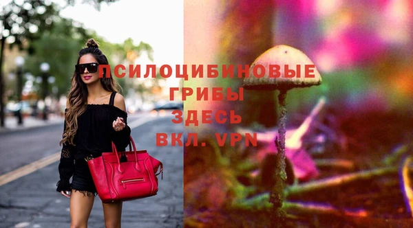 винт Арсеньев
