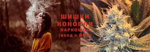 PSILOCYBIN Аркадак