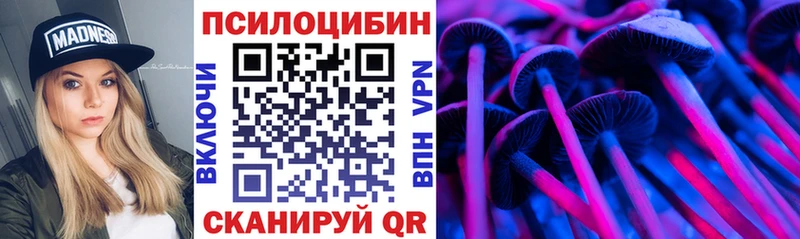 закладка  Северо-Курильск  Псилоцибиновые грибы прущие грибы 